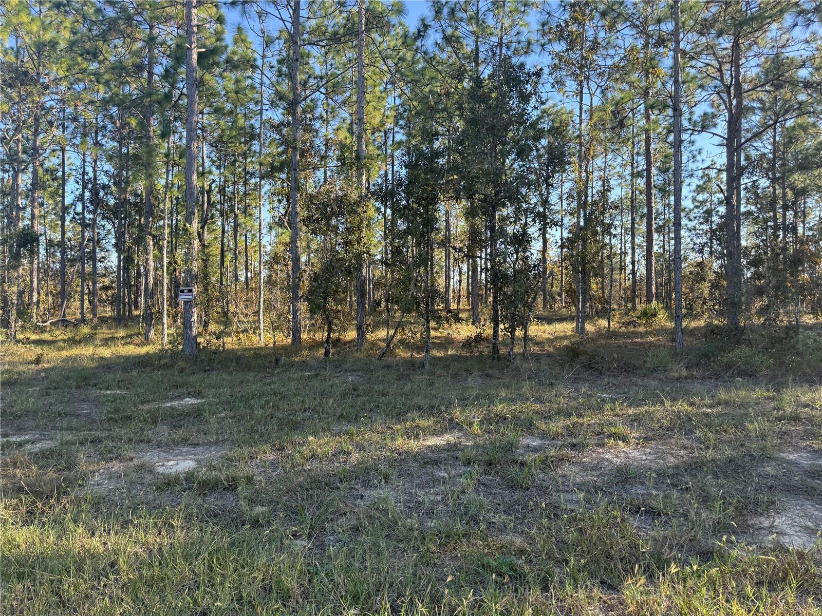 TRIPLE CROWN FARMS I - Land