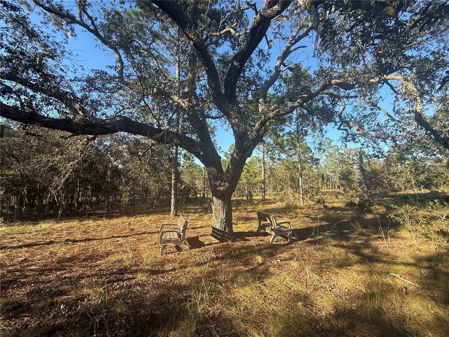 Your future starts here at Triple Crown Farms! Country paradise on this beautiful 5 acre high and dry parcel located in the desirable community of Triple Crown Farms. Offering the perfect blend of privacy, natural beauty, and convenience to all that Central Florida has to offer. Zoned Rural Residential, this land is ideal for horses, livestock, or creating your own mini farm. Whether you are ready to build your dream home, custom barn, or simply enjoy the peace of the countryside, the possibilities are endless here. The property features mature but not overly dense trees, providing just the right balance of shade and open space, along with lovely vistas of the surrounding landscape. Prime location close to Goethe State Forest and Black Prong Equestrian Village, Ocala the Horse Capital of The World and WEC, Crystal River for easy access to dining, and Gulf Coast recreation. Come experience the quiet charm of country living while still being close to it all. Bring your horses, bring your dreams, and make this stunning acreage your new home base.