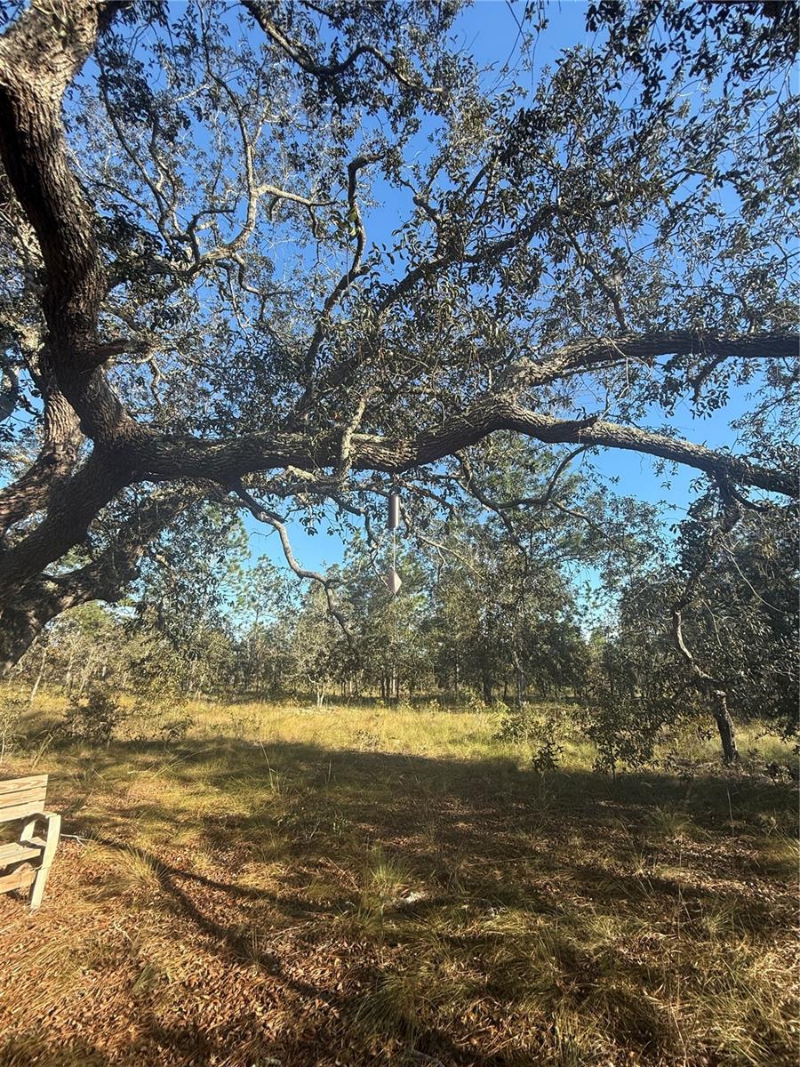 TRIPLE CROWN FARMS I - Land