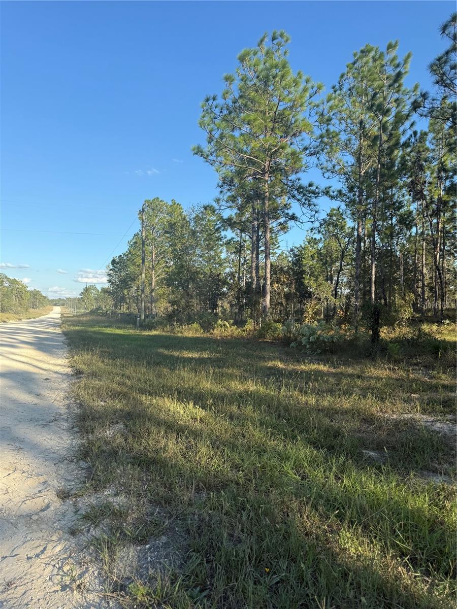 TRIPLE CROWN FARMS I - Land