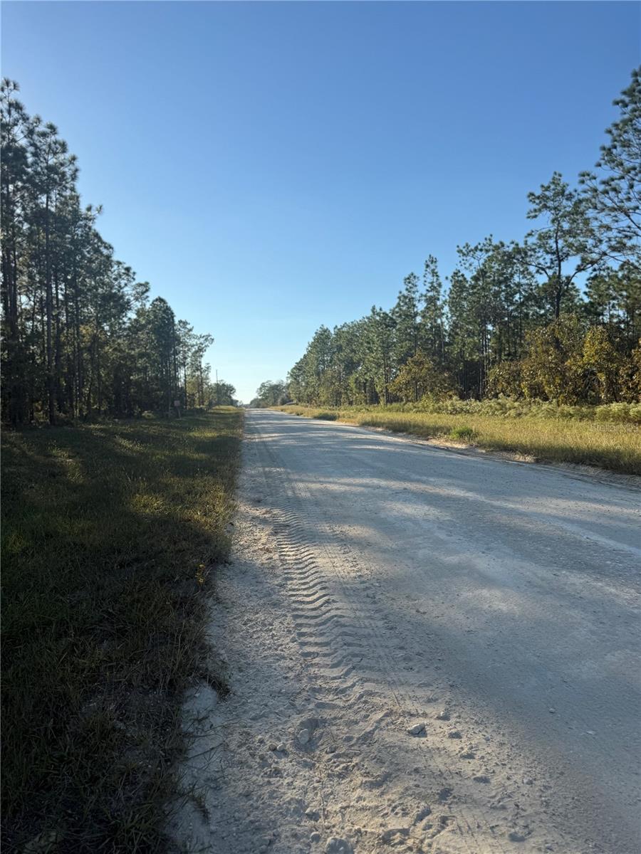 TRIPLE CROWN FARMS I - Land