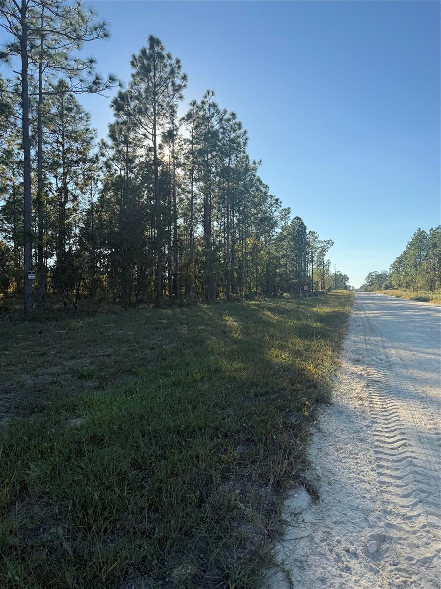 TRIPLE CROWN FARMS I - Land