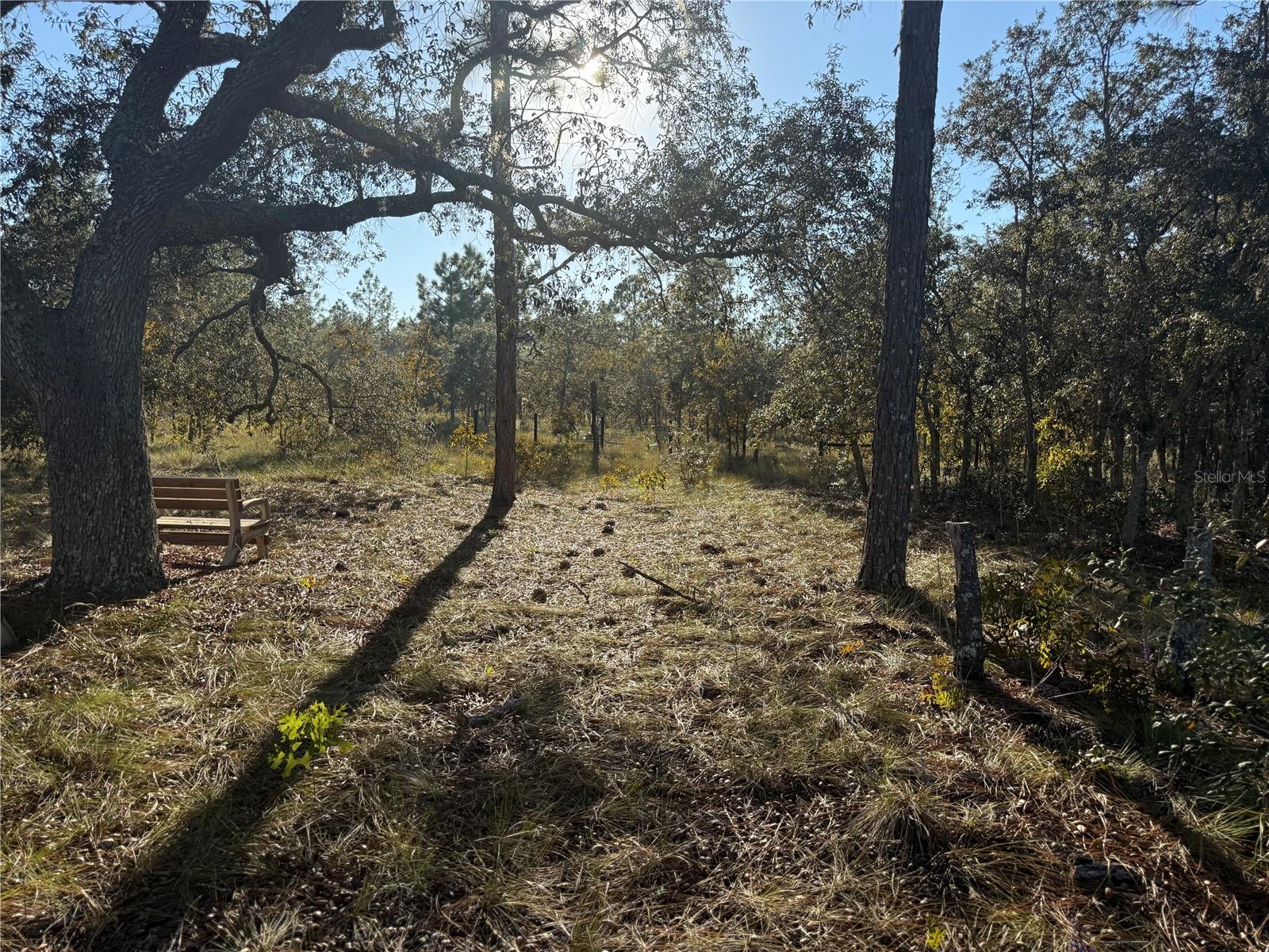 TRIPLE CROWN FARMS I - Land