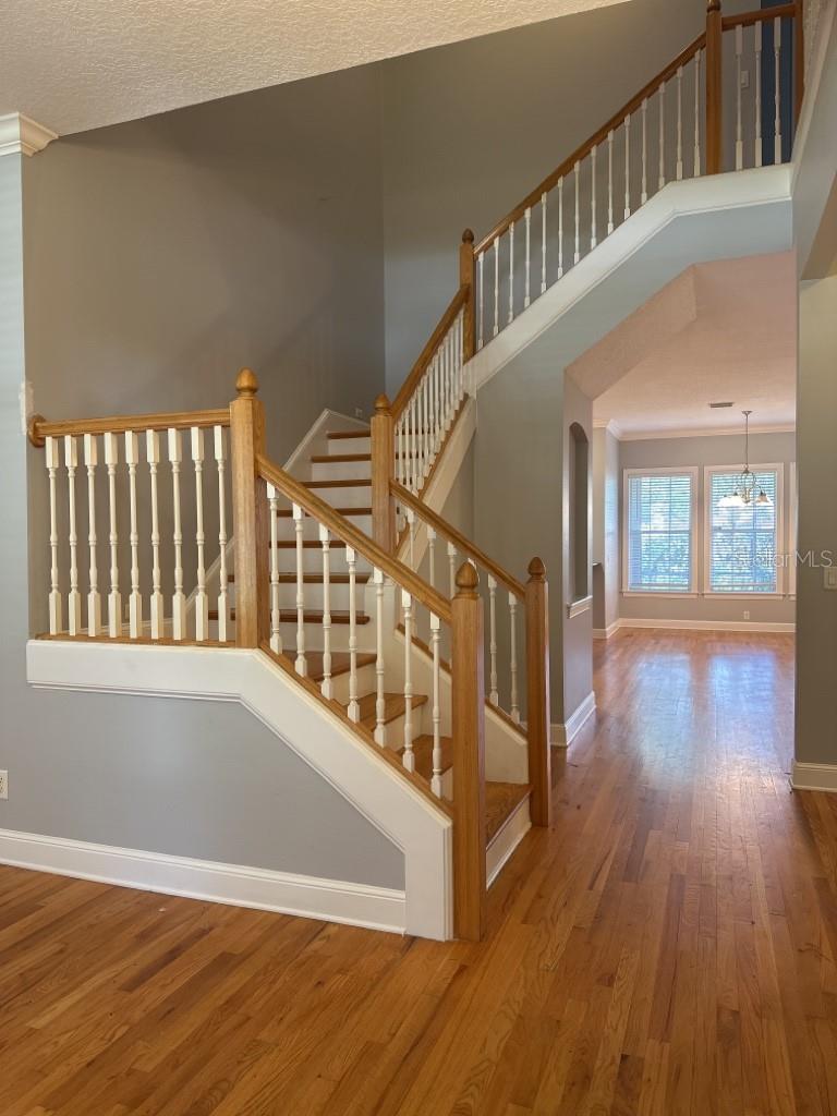 PALMA VISTA - Residential Lease