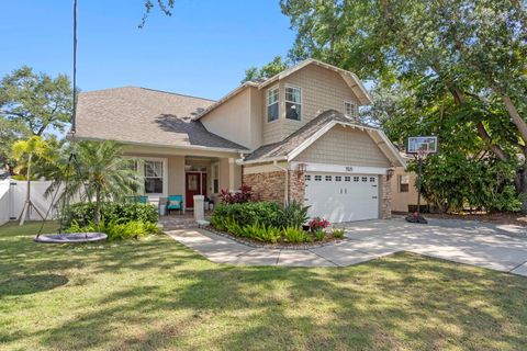 3325 W WALLCRAFT AVENUE TAMPA FL 33611