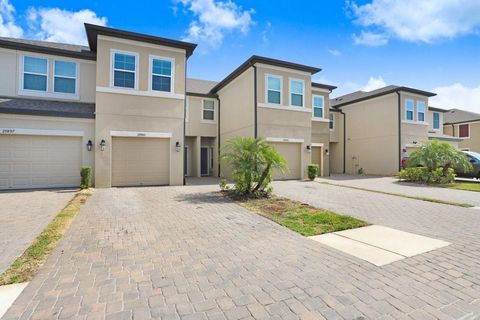 Photo of 29901 Southwell Lane, Wesley Chapel, FL 33543 (MLS # TB8384034)