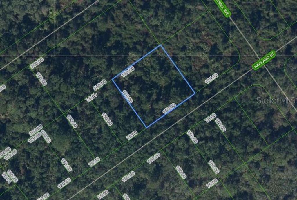 Photo of 1210 Haviland Street, Lake Placid, FL 33852 (MLS # P4932385)