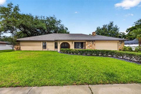 Photo of 11004 Theresa Arbor Drive, Temple Terrace, FL 33617 (MLS # TB8510376)