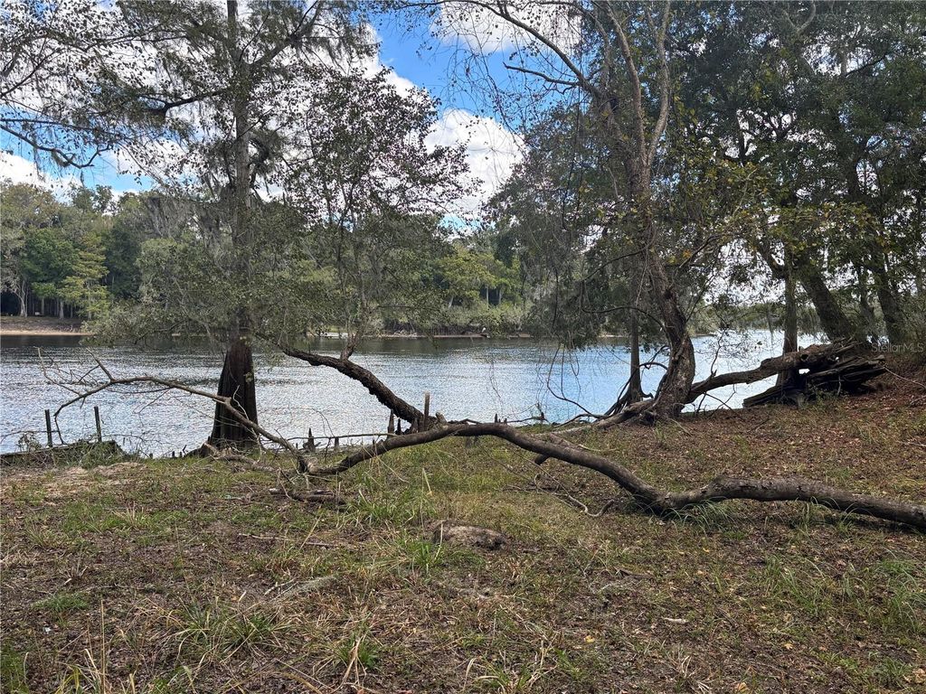 Real estate matching your search 91 Photo of 1347 NE 519th Avenue, Old Town, FL 32680 (MLS # OM712260)