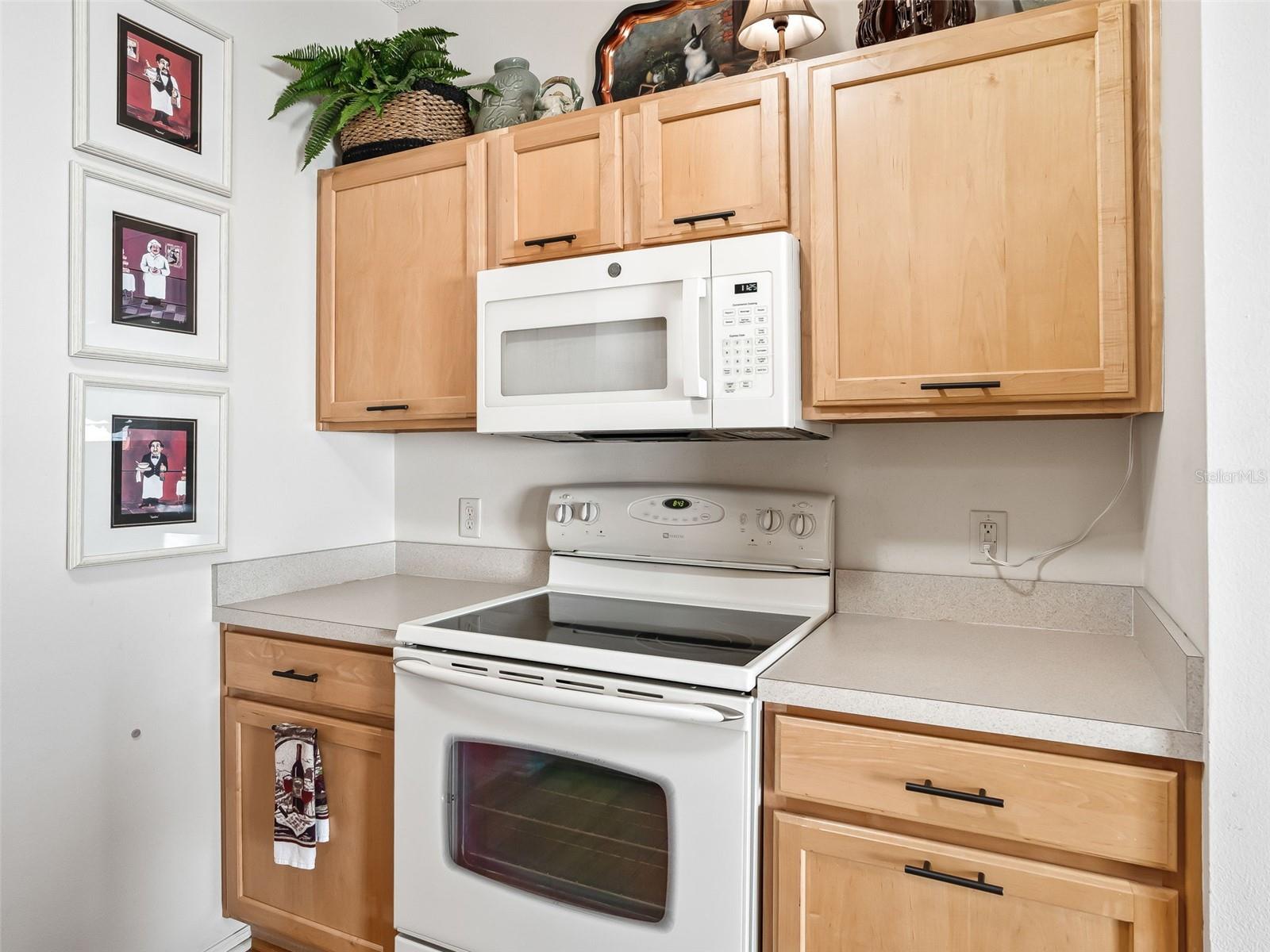 VILLAGES OF SUMTER ARLINGTON VILLAS - Residential