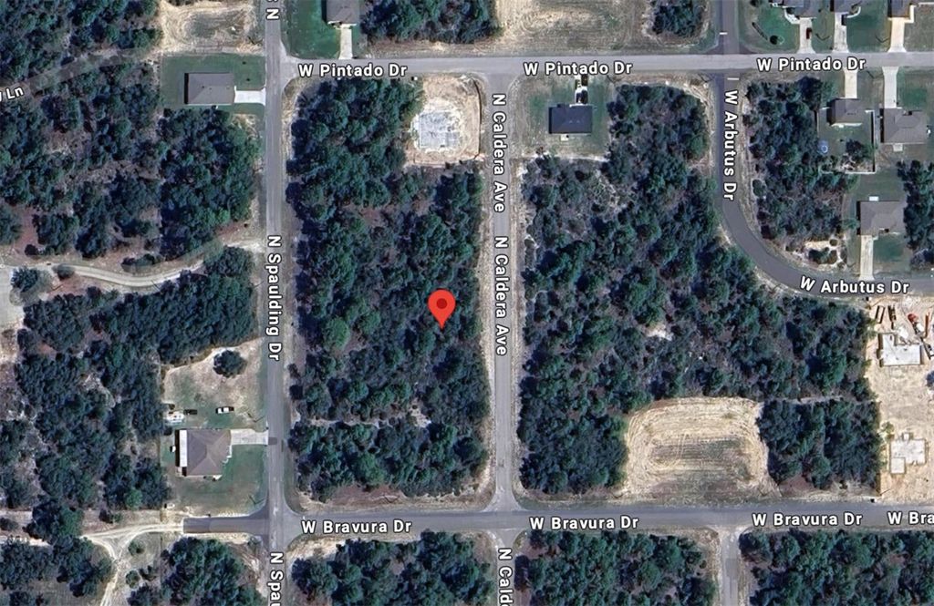 Photo of 10660 N Caldera Avenue, Dunnellon, FL 34433 (MLS # FC314199)