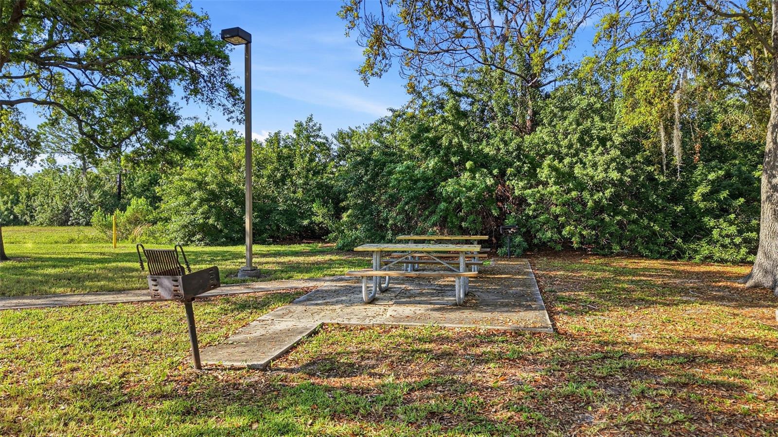 PINE RUSH VILLAS CONDO - Residential