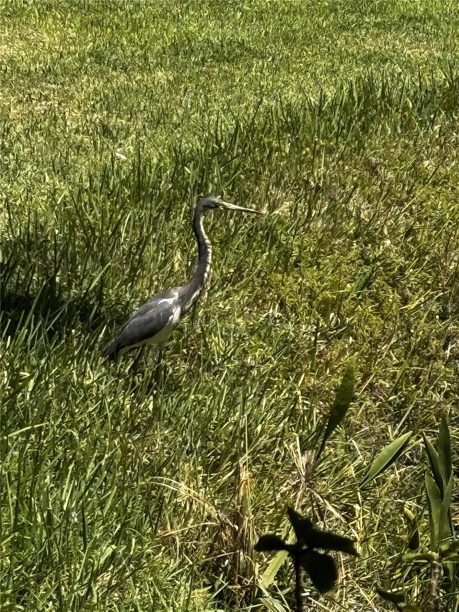 PLAZA DE FLORES - Residential