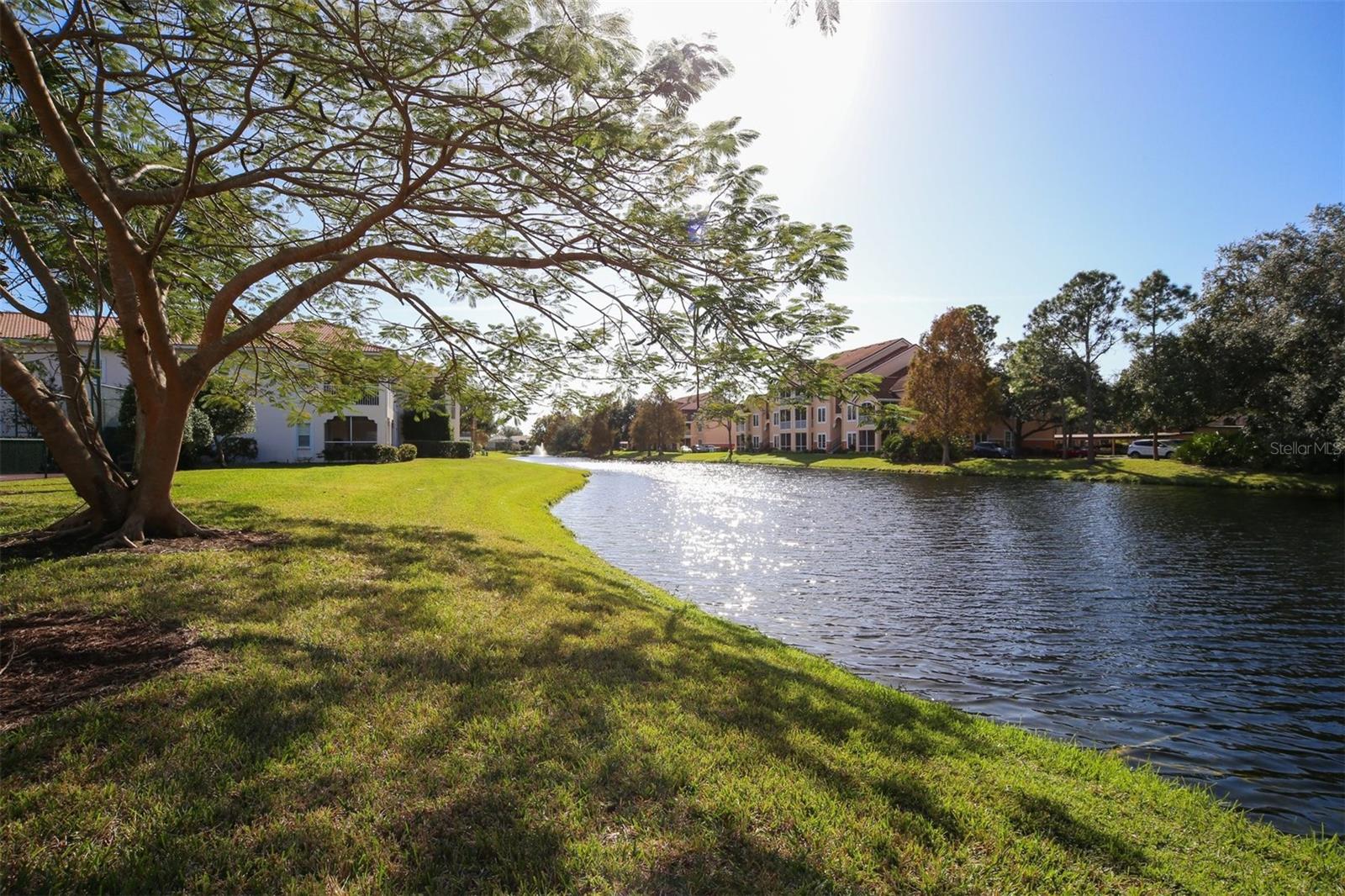 PLAZA DE FLORES - Residential