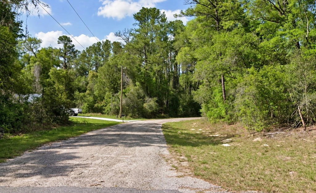 Photo of 619 E Byrd Loop, Citrus Springs, FL 34434 (MLS # O6440860)