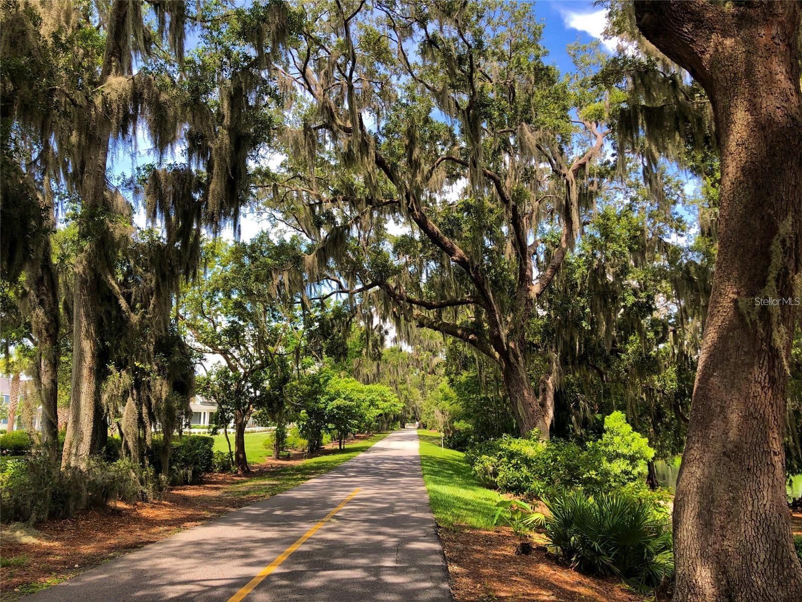 HICKORY HAMMOCK - Residential