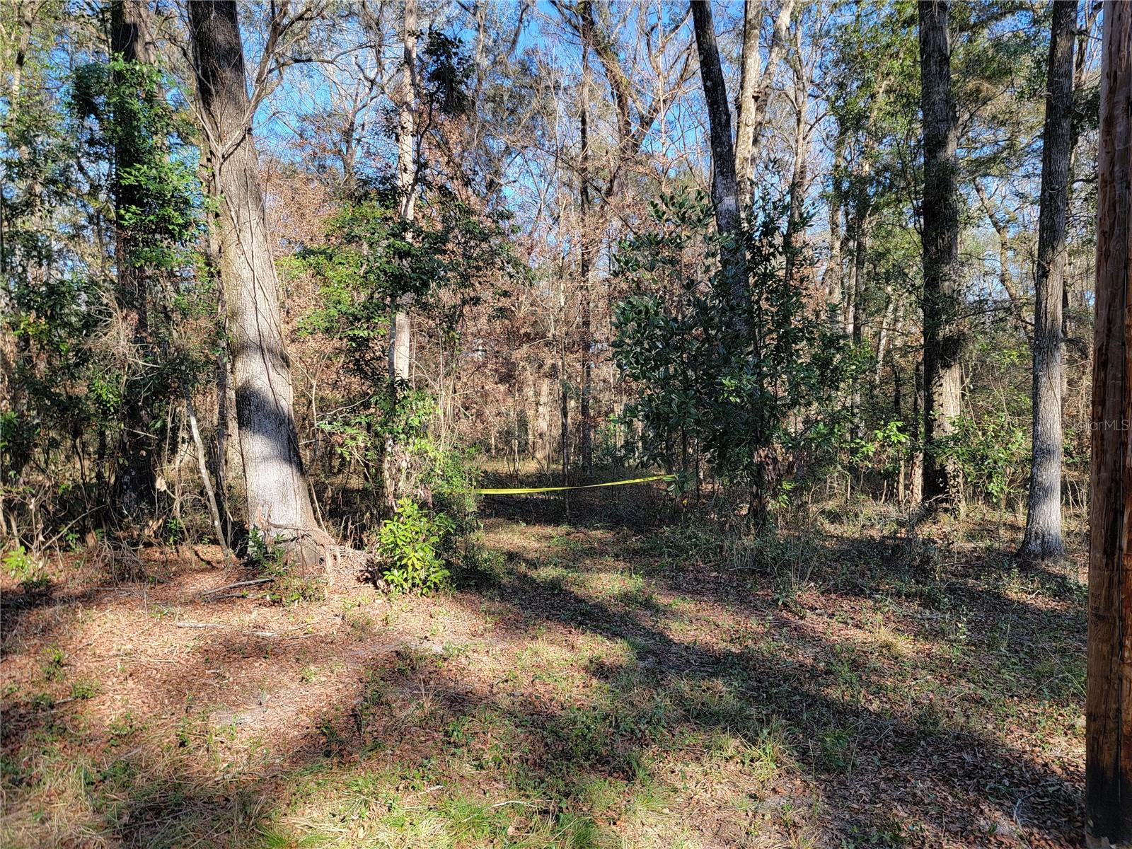 THREE RIVERS ESTATES - Land