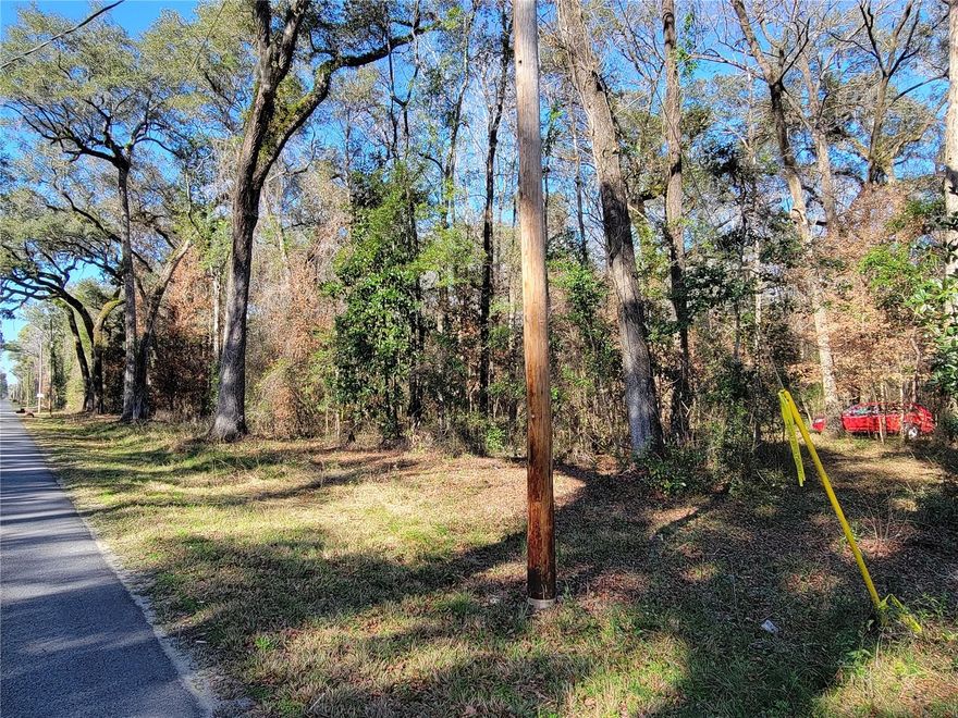 THIS VACANT LOT LISTING IS FOR 1 OF 2 SIDE-BY-SIDE HEAVILY WOODED LOTS IN THREE RIVERS ESTATES ON A PAVED ROAD AND NO MANDATORY HOA. This gorgeous property is located in the highly sought after and coveted "Three Rivers Estates” in Columbia County in the heart of North Florida. This property is almost one acre (0.92) and the lot dimensions are 100’ X 400’. It is only minutes to nearby Santa Fe, Ichetucknee and Suwannee rivers and nine (9) private Three Rivers parks. Property is located on Newark Road which Is a PAVED county maintained road. Property is very heavily WOODED with beautiful huge hardwood trees throughout. This property has a road that has been minimally cleared into the property and is minimally cleared once inside the lot for camping and parking - lots of privacy. NOTE: There is another vacant lot separately listed and actively For Sale right next to this one (side-by-side) for a total of 1.84 acres if purchased together making the dimensions of the two combined lots 200’ x 400’ List price is for one lot (0.92 acre). Seller is a real estate agent but has owned the properties for decades. No mandatory HOA fees but TREPO offers $175 yearly membership which includes access to 9 PRIVATE PARKS, all beautifully situated directly on the Santa Fe and Ichetucknee rivers in both Colombia and Suwannee Counties. One of the parks has a very nice BOAT RAMP on the SANTE FE RIVER and one park is the Main TREPO private park with swimming, kayaking, tubing, ect. There are shelters and bathrooms at this park.  This park is located directly on the ICHETUCKNEE River. So much to do there: picnics, swimming, snorkeling, tubing, canoeing, kayaking, fishing, hiking & so much more. NOTE; the optional HOA fee for access to all the private parks is only $175 annually (2024) for the use of all the parks for the year. HOA fees are paid-up for 2024. Lots of nearby state parks, springs, fishing, boating and local shops and restaurants. One private park on the Sante Fe has a boat ramp and the main park is located on Ichetucknee River has a beach directly on the river, pavilion, picnic benches and bathrooms. Also, you have access to the pavillions for private events & community gatherings at the main park. 3 Rivers Estates is a golf cart community!  The front part of the lot is in the 500 year flood zone. The rest is in X flood Zone. Use 1498 SW Newark Dr, Ft White FL 32038 which is directly across Newark to get map flood map at FEMA. Listing agent is the owner - this vacant lot was purchased in 1990.