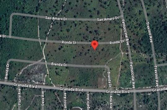 0.24 ACRES VACANT RESIDENTIAL LAND IN SEBRING, FL 33872. ALL INFORMATION FROM THE SELLER AND MUST BE VERIFIED BY THE BUYER!