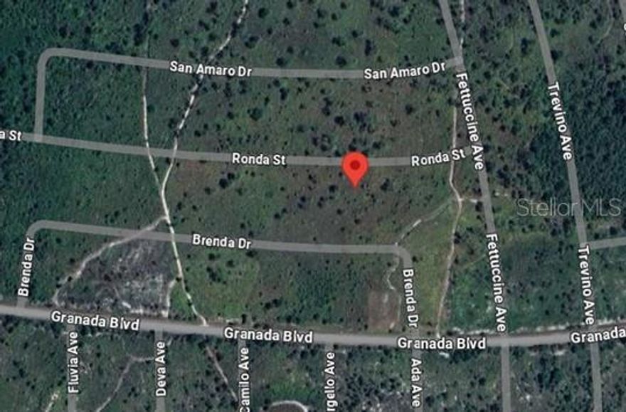 0.24 ACRES VACANT RESIDENTIAL LAND IN SEBRING, FL 33872. ALL INFORMATION FROM THE SELLER AND MUST BE VERIFIED BY THE BUYER!