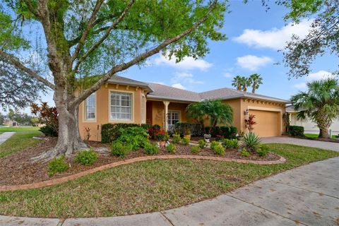 A home in KISSIMMEE