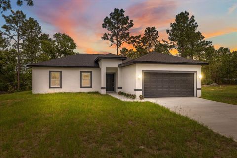Photo of 6062 SW 154th Place Road, Ocala, FL 34473 (MLS # O6311570)