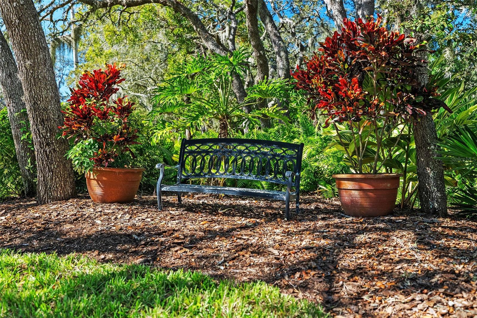 OAK RIDGE - Residential