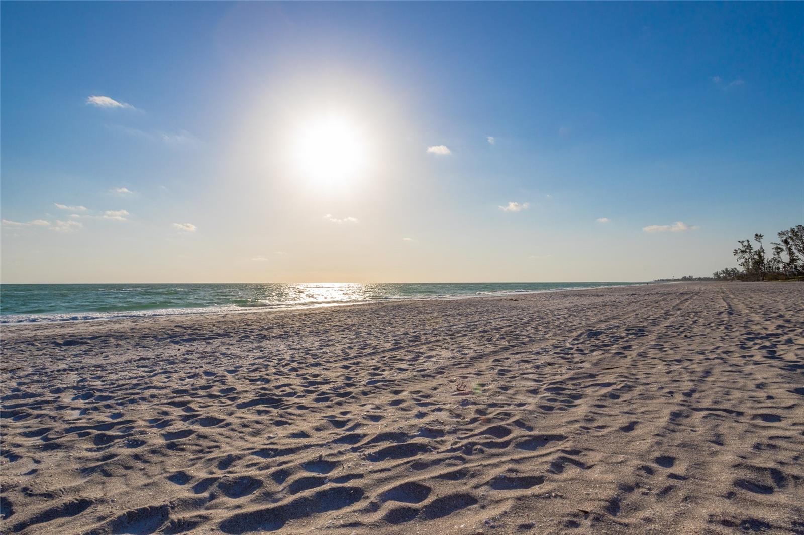 BAILEY-DOBSON - Land