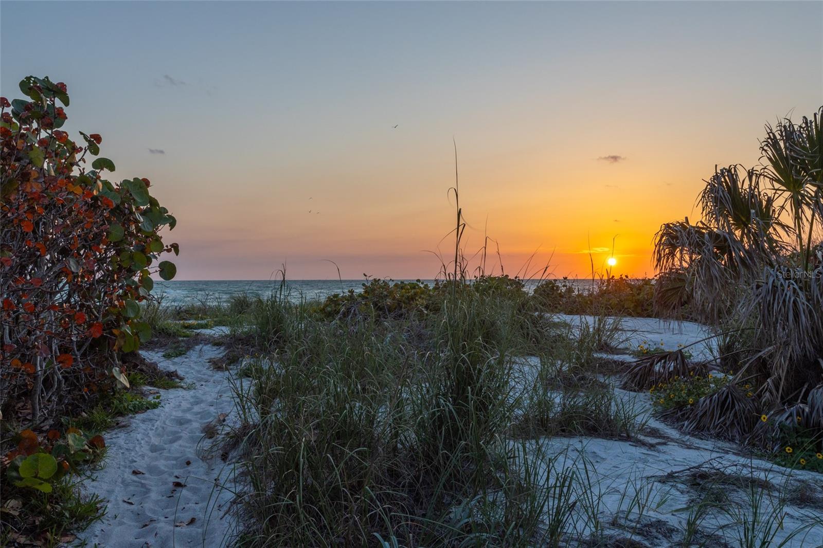 BAILEY-DOBSON - Land