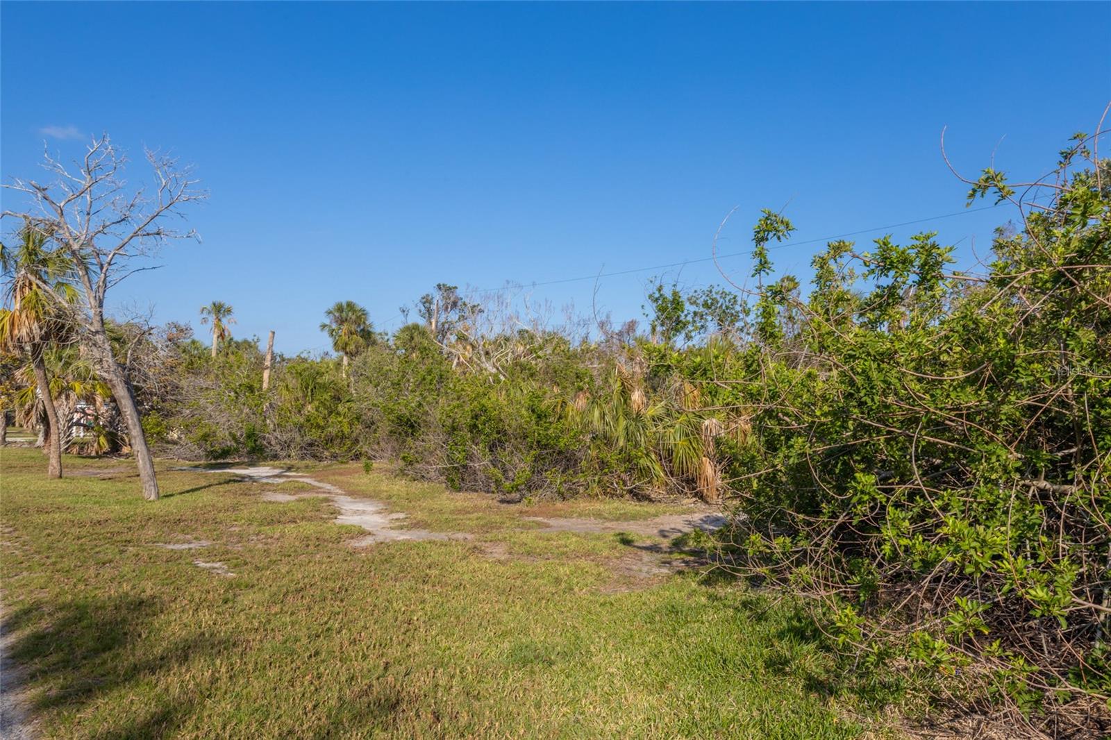 BAILEY-DOBSON - Land