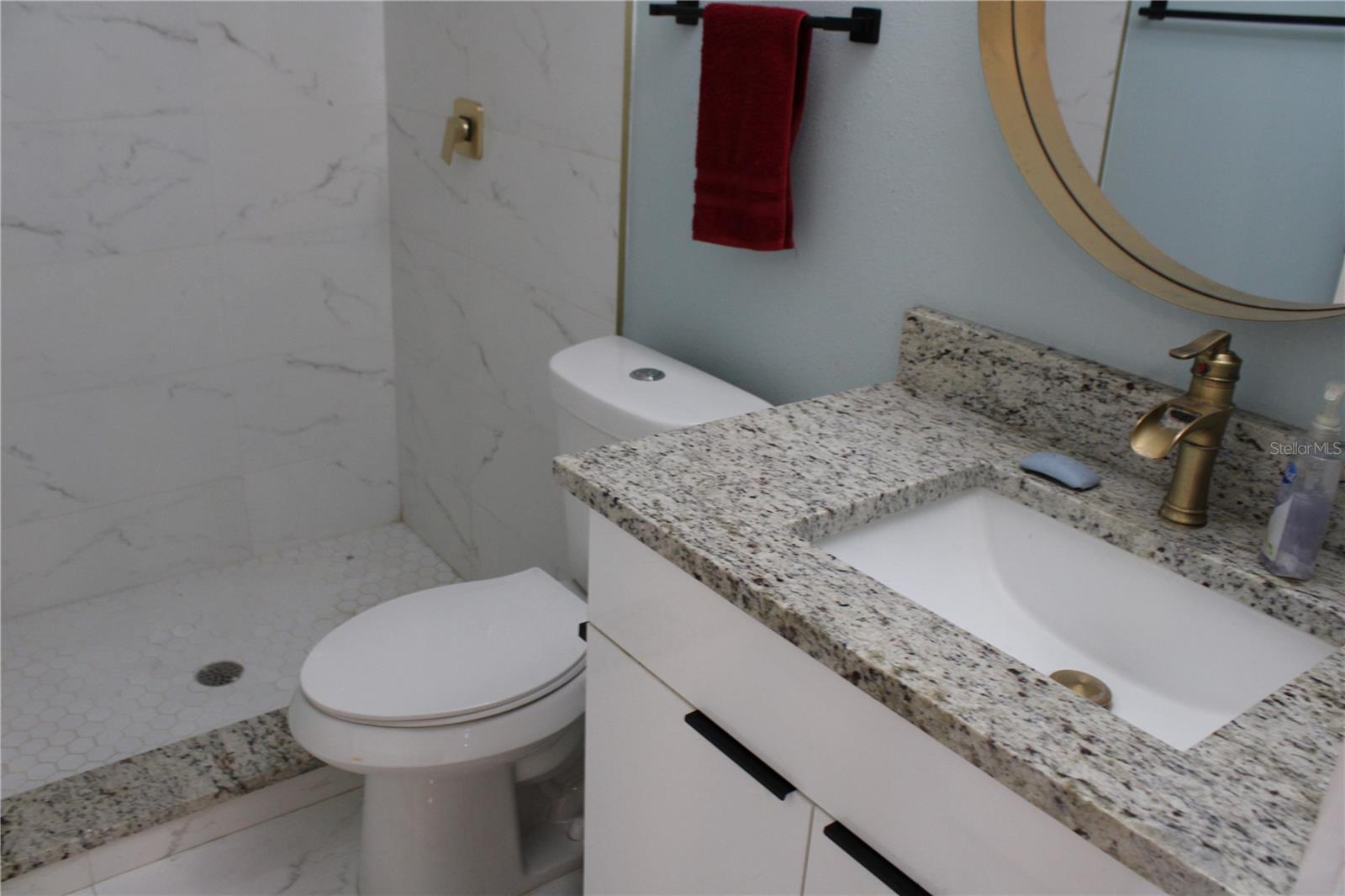 LINCOLN PARK - Residential