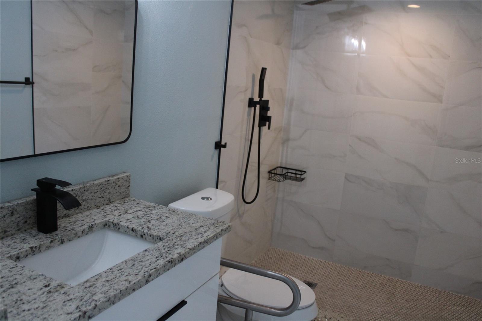 LINCOLN PARK - Residential