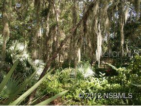 Sugar Mill Trails East - Land