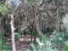 Sugar Mill Trails East - Land