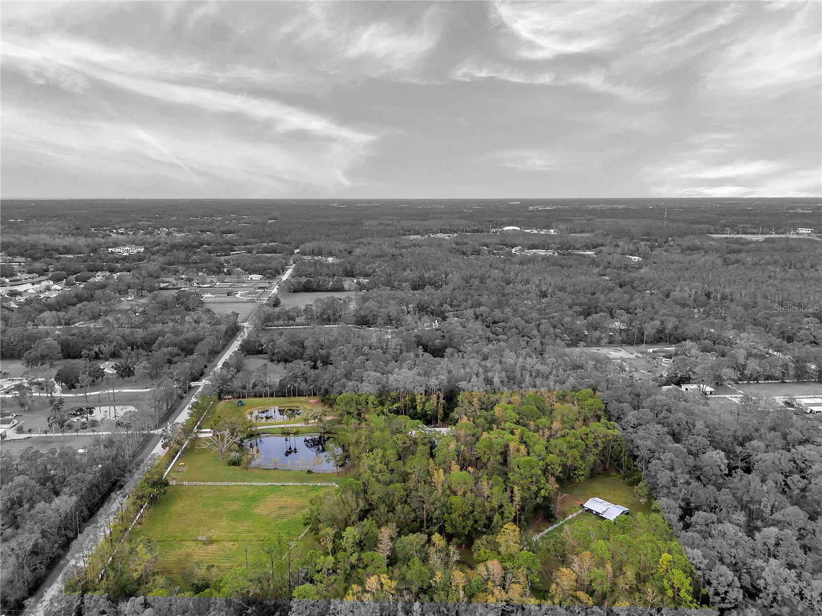 655 APPALOOSA ROAD