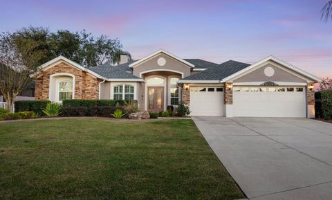 A home in MOUNT DORA