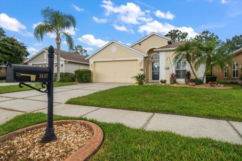 Photo of 3137 Banyan Hill Lane, Land O Lakes, FL 34639 (MLS # TB8398028)