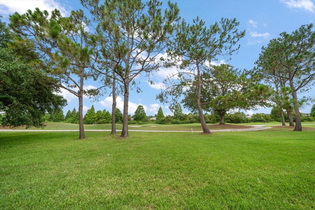Photo of 3137 Banyan Hill Lane, Land O Lakes, FL 34639 (MLS # TB8398028)