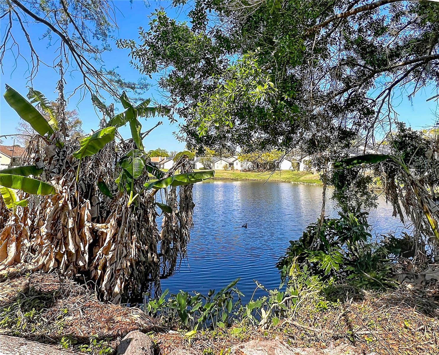 WEDGEWOOD TENNIS VILLAS - Residential