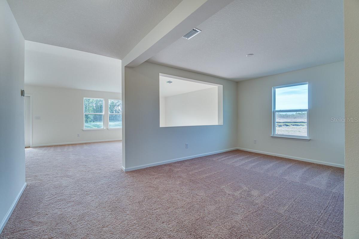 59 TEA OLIVE DRIVE