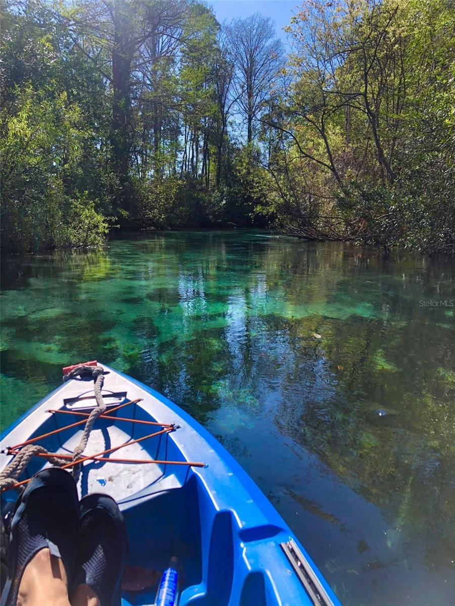 WEEKI WACHEE GARDENS - Residential