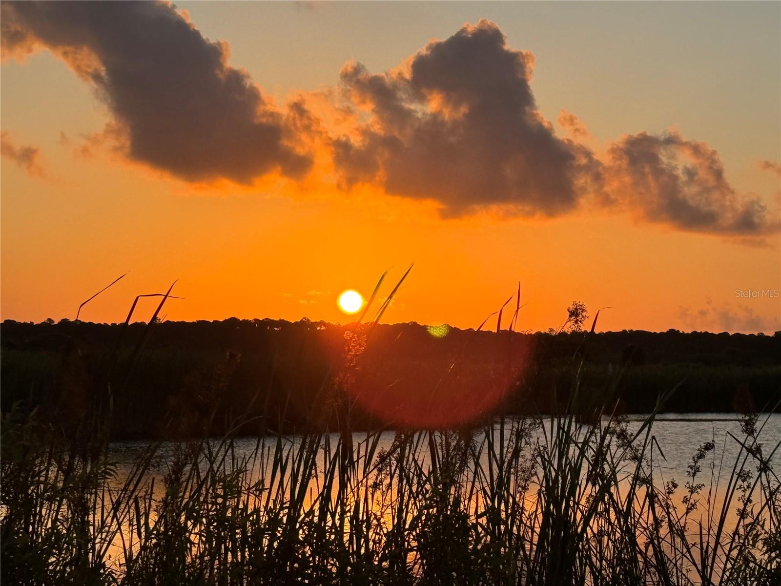 WEEKI WACHEE GARDENS - Residential