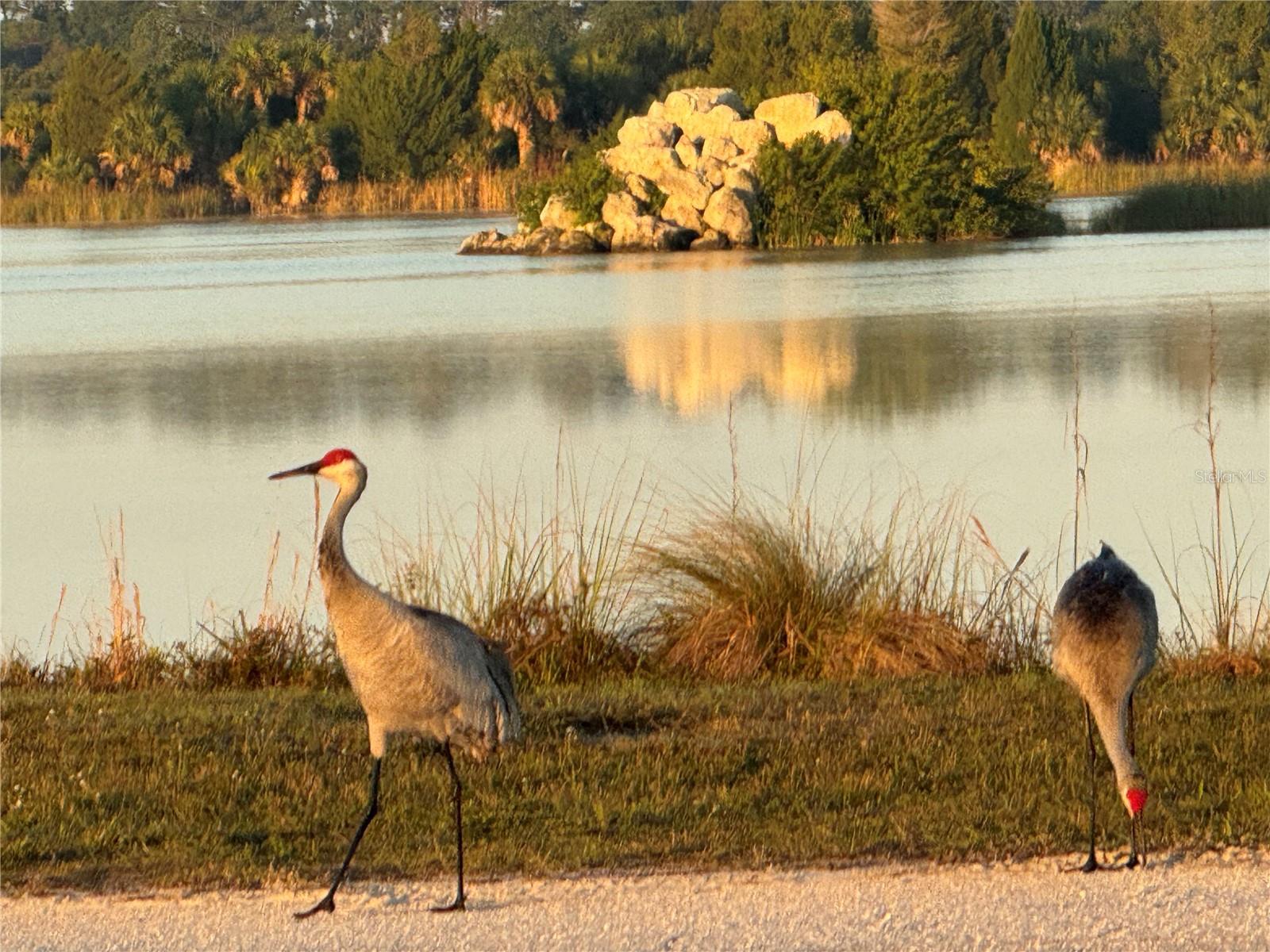 WEEKI WACHEE GARDENS - Residential