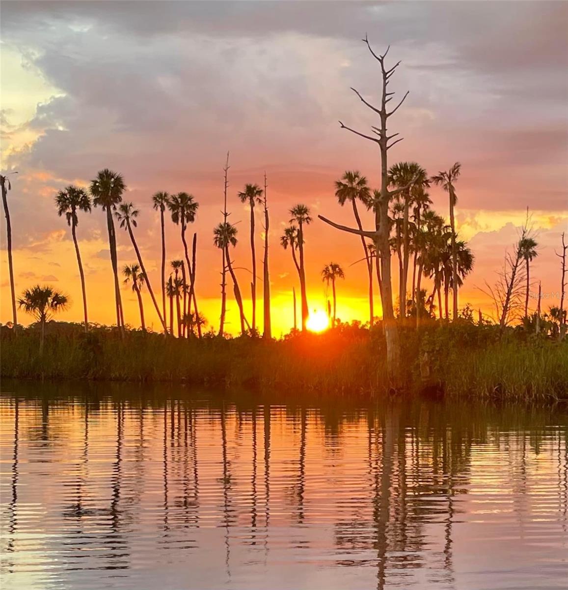 WEEKI WACHEE GARDENS - Residential