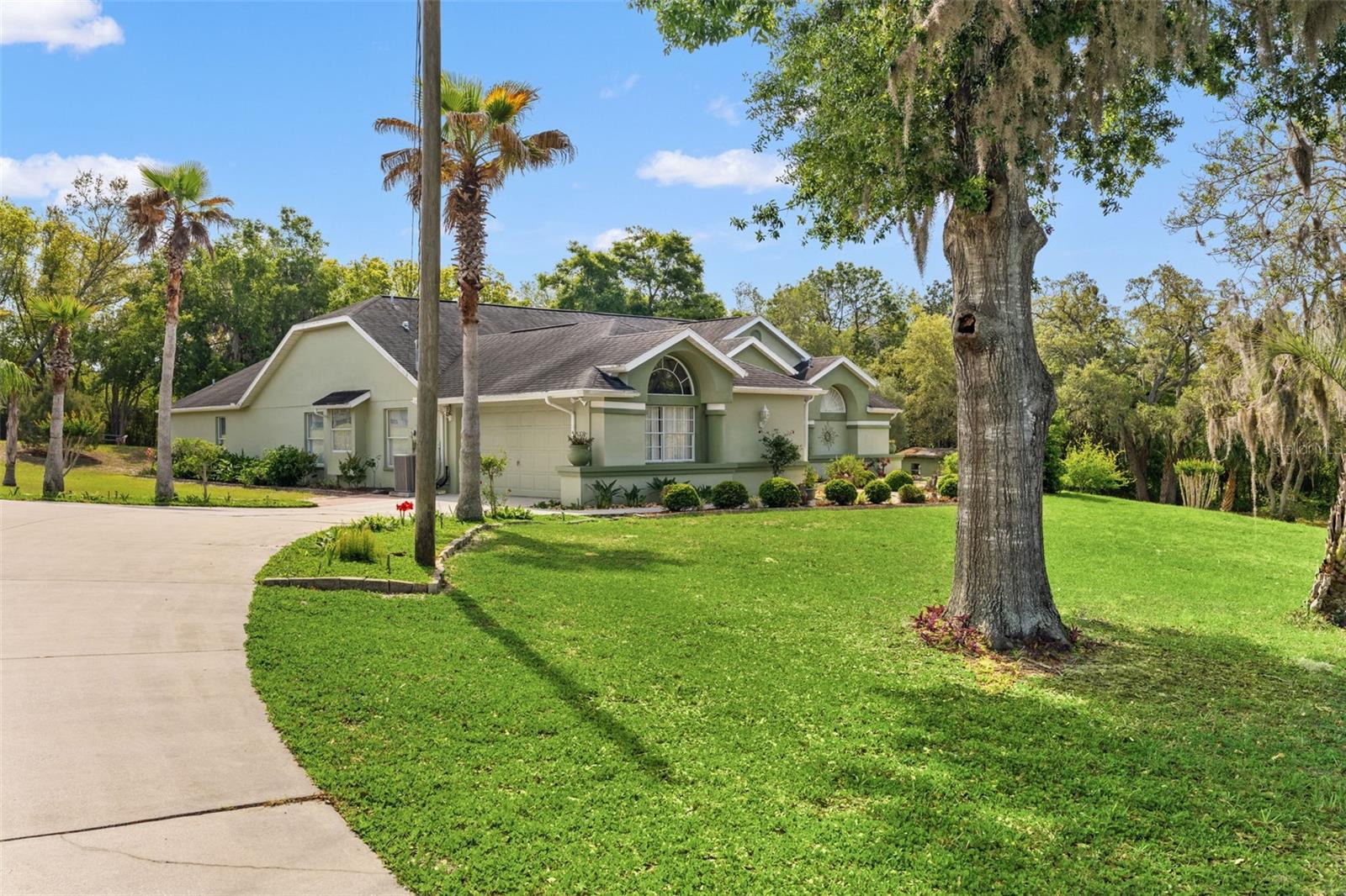 9050 WEEPING WILLOW STREET