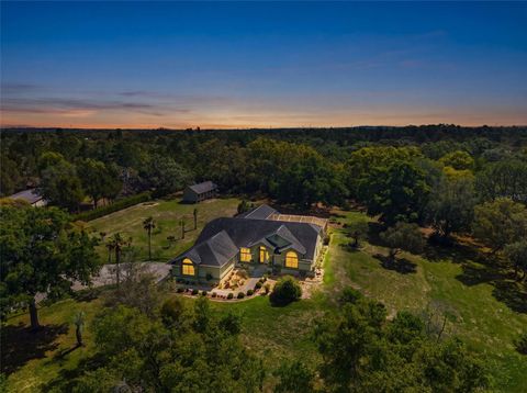 Photo of 9050 Weeping Willow Street, Brooksville, FL 34613 (MLS # TB8501749)