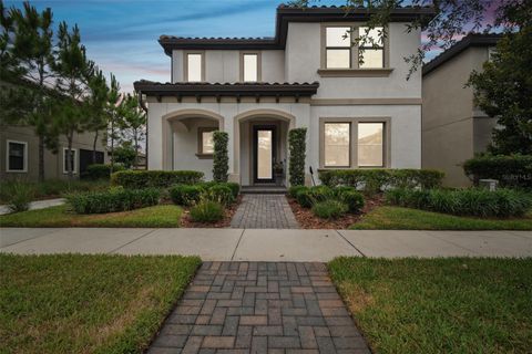 2445 WHITTLER BRANCH ODESSA FL 33556
