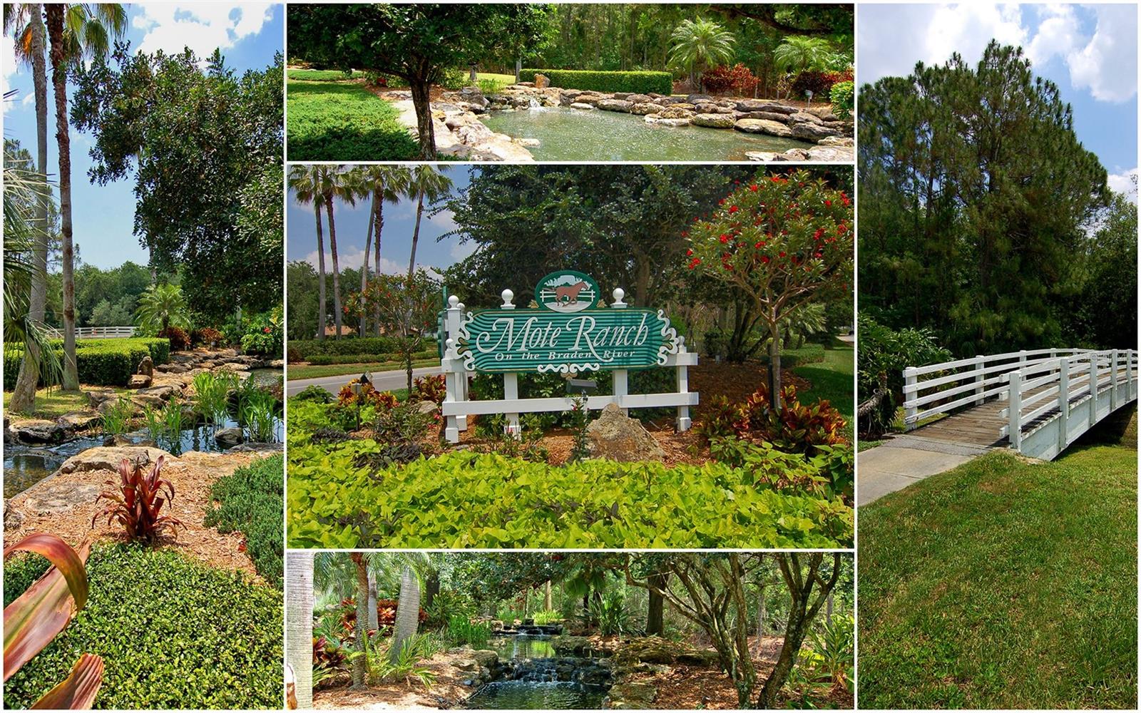 RIVER PARK AT MOTE RANCH - Residential