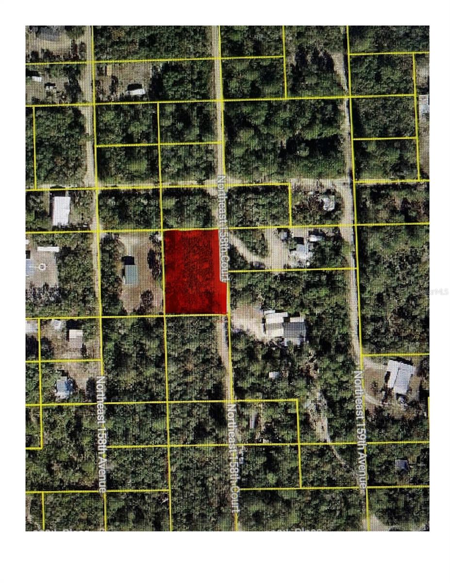 Seize this rare opportunity—seller financing available!
This Ocala National Forest Campsites gem is ready for your vision and endless potential for your dream home or manufactured home.
Nestled near the Ocala National Forest, you'll enjoy a lifestyle rich in outdoor adventure—trails, fishing, hunting, and pure tranquility. Plus, you're just a short drive from Ocala, Daytona Beach, and Gainesville.
Country living with city convenience at this price? It won’t last. Secure your perfect escape today!
Buyer and buyer’s agent to verify all information.