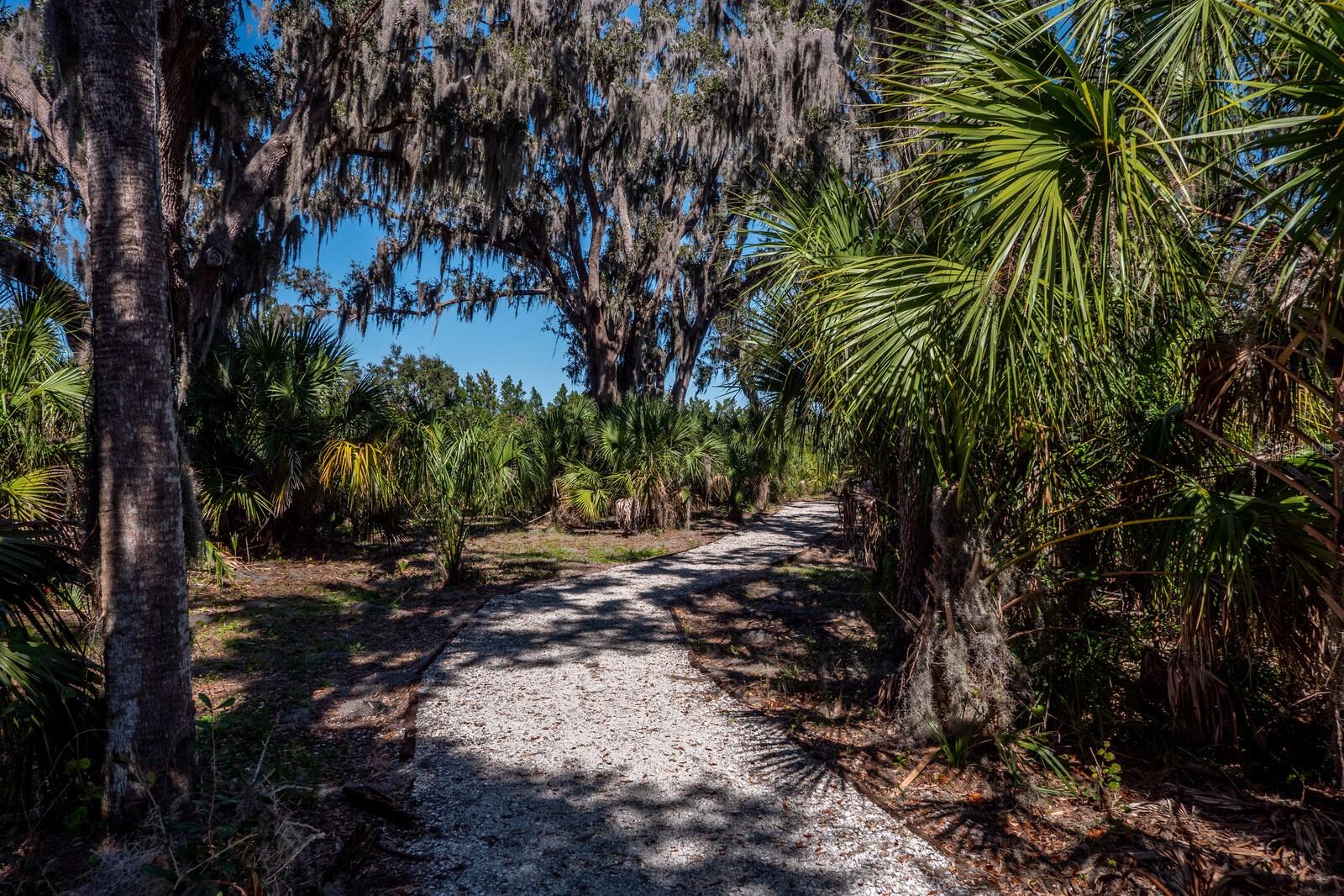 HARBOUR WALK - Residential